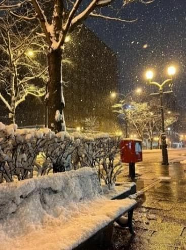 冬季旅游好去处：南北风光各不同