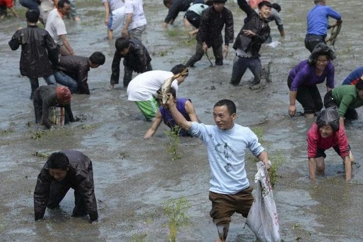 梦见抓鱼是什么预兆？周公解梦深度解析