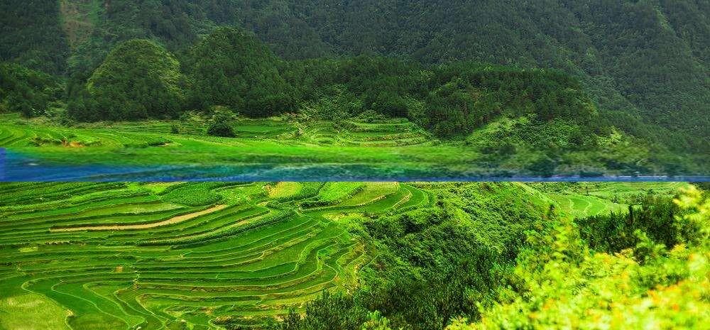 大理必去景点：喜洲古镇、蝴蝶泉、张家花园等精选景区与路线一览