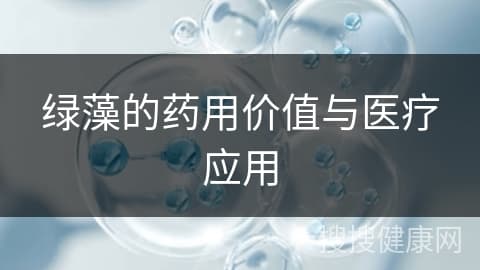 绿藻的药用价值与医疗应用
