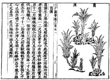 古代传说中的风生兽，有哪些神奇的能力？