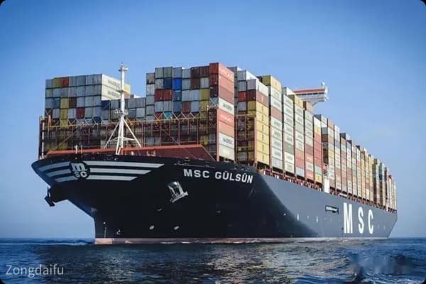 食品代理出口全攻略：资质、流程与政策解读