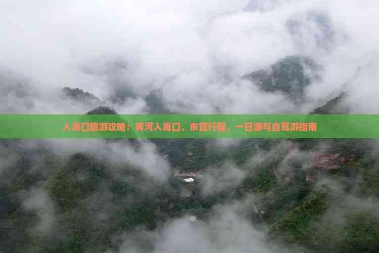 黄河入海口旅游攻略：东营行程、一日游与自驾游指南