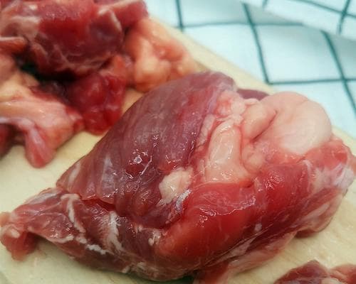 如何正确喂养宠物猫生牛肉（掌握正确的饮食方法）