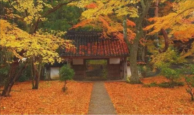 秋韵渐深，立秋时节养生之道不可或缺