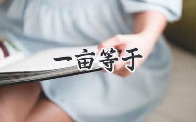 一亩地有多大？一亩等于多少平方米，带你了解土地面积单位