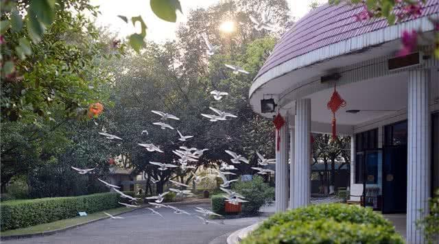 广东4A级森林公园景点推荐