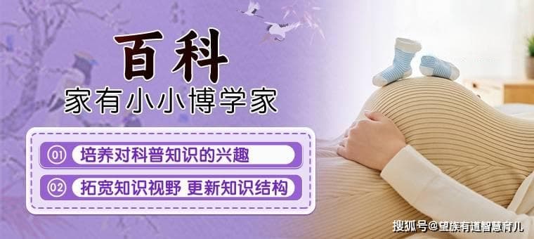 怎么促进0-3岁孩子的认知发展？