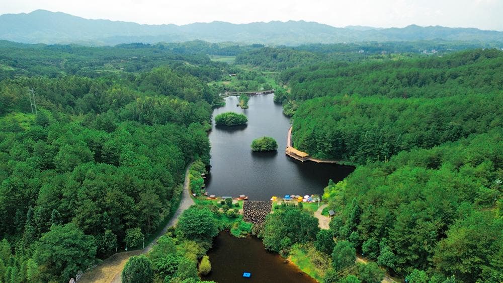 水利部：我国水土保持措施年均减少土壤流失16亿吨