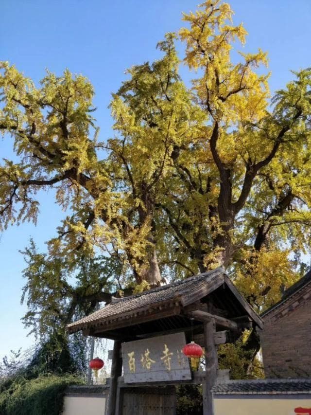 魅力天子峪：秦岭深处的自然与人文瑰宝
