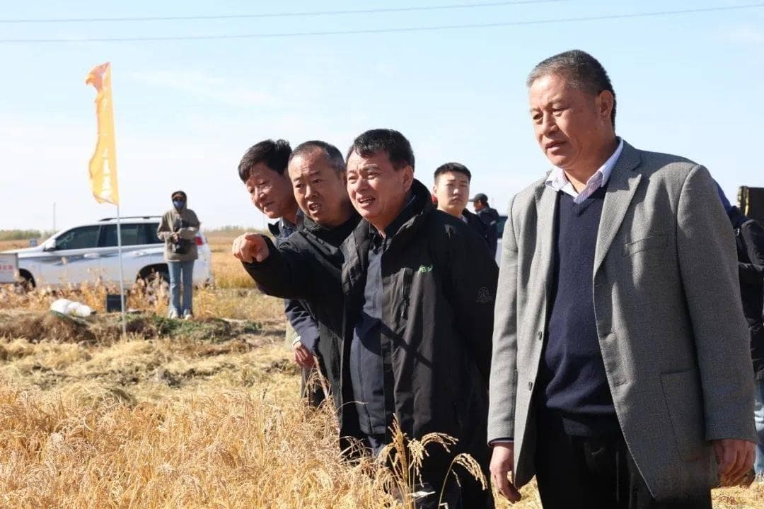 亩产破588公斤！4500亩“盐碱地”变高产良田