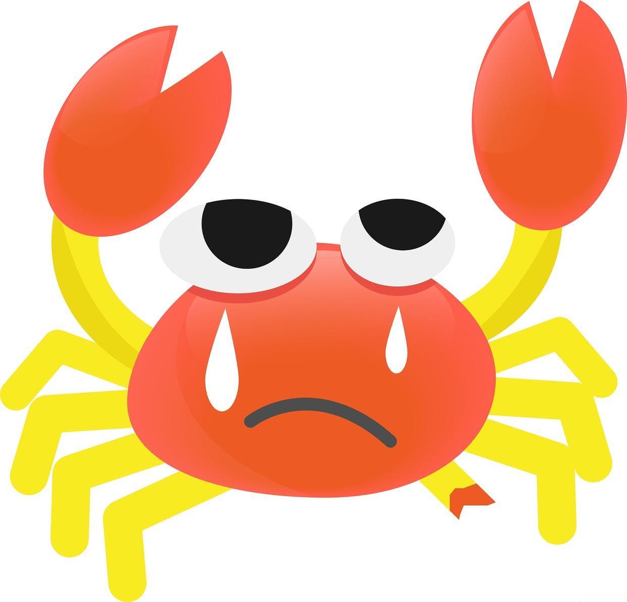 揭秘：小螃蟹的水中生存法则
