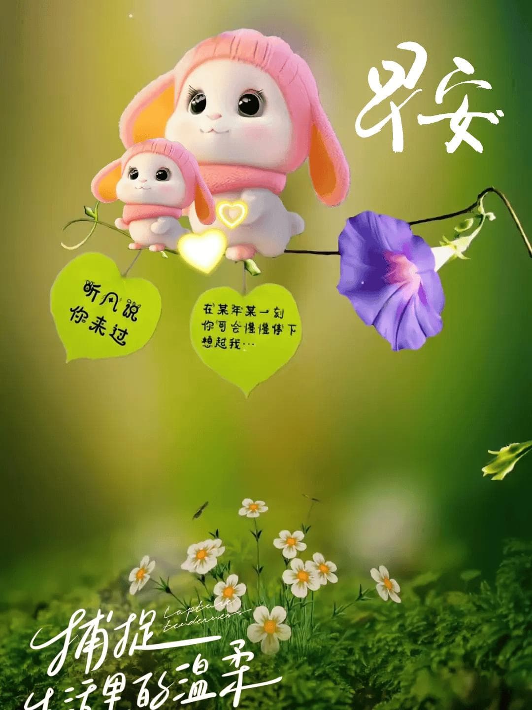 每天好心情早安祝福语大全，祝福问候，开心幸福！