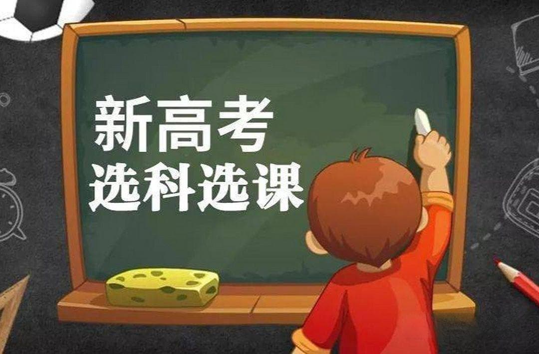关于高中选科的深入解析：如何选择最适合自己的科目组合和职业规划
