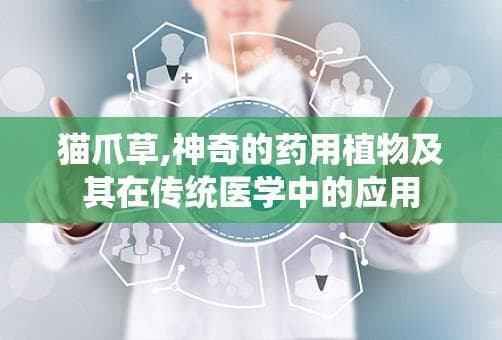 猫爪草：神奇的药用植物及其在传统医学中的应用