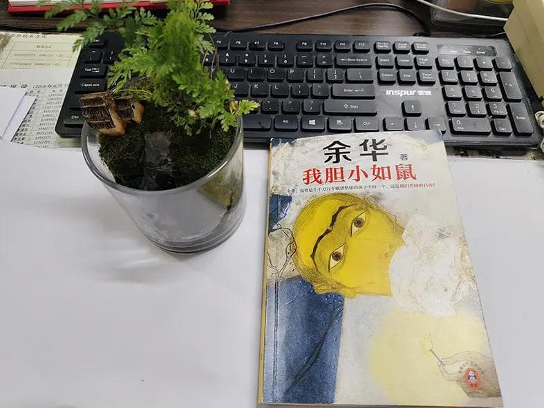 我胆小如鼠：余华写给人群中你我他的自传和情书