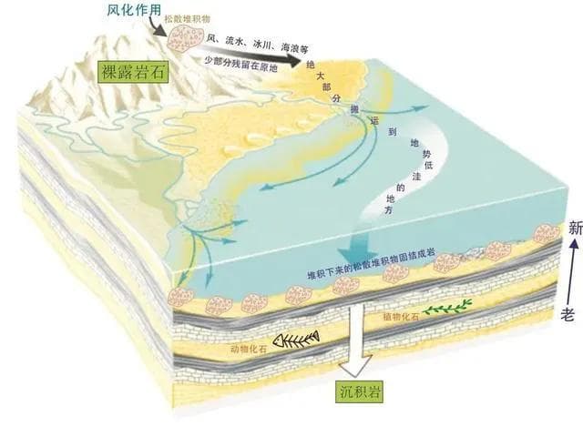 沉积岩的形成与特征