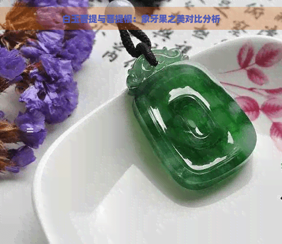 白玉菩提与菩提根：象牙果之美对比分析