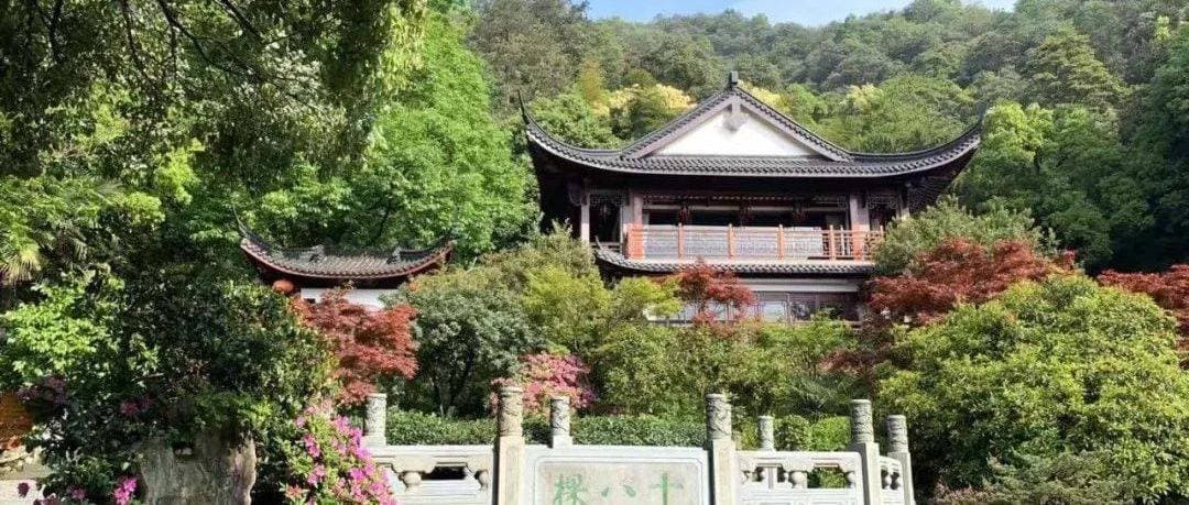 玩转西湖景中村社之龙井村