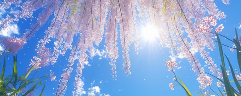 春分竖蛋怎么才能立起来 春分竖蛋的由来