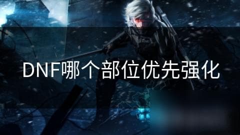 DNF哪个部位优先强化