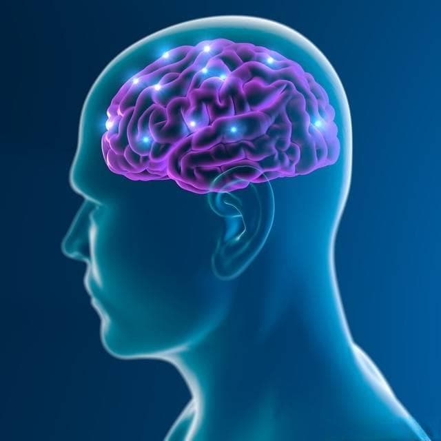 科学家证实“死亡终结论”的挑战，死掉了可能还可以复活？