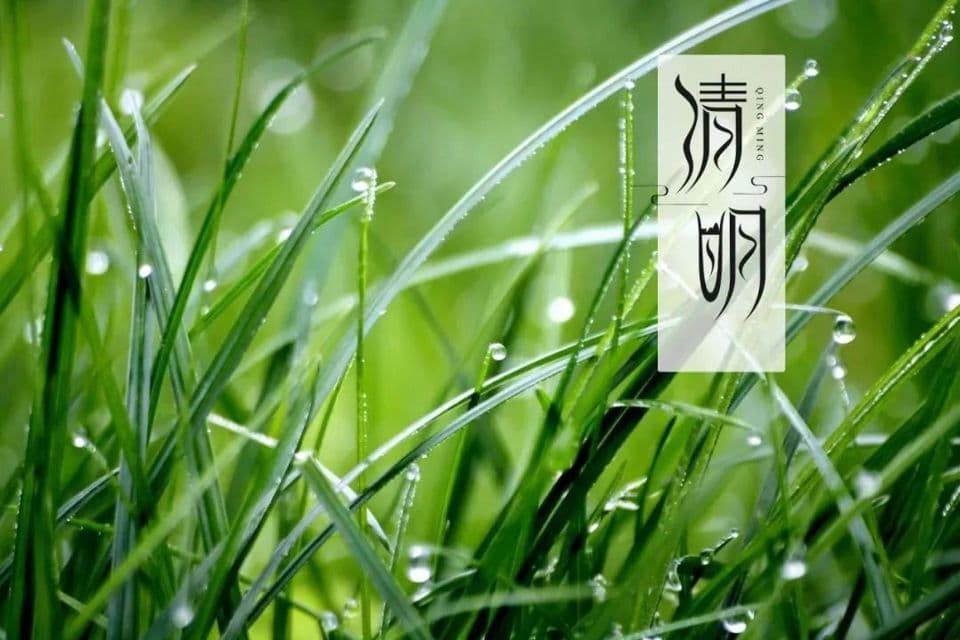 今年清明上坟有规矩，这4种人最好别去，小孩几岁去合适？你搞清楚了吗？