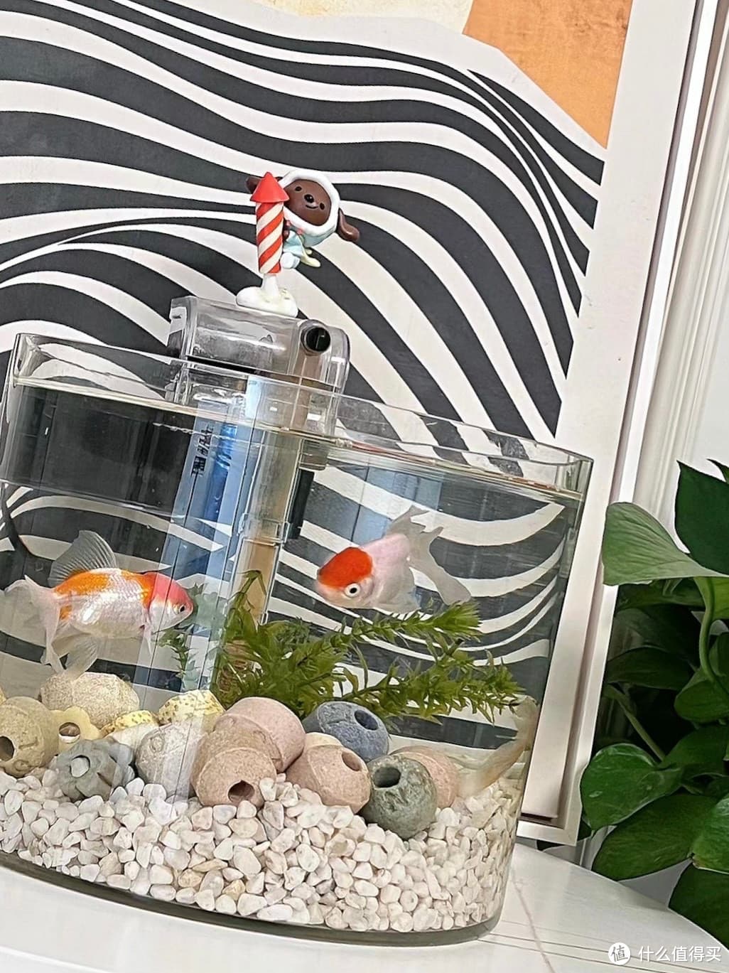 鱼缸选择指南：打造你的完美水族世界
