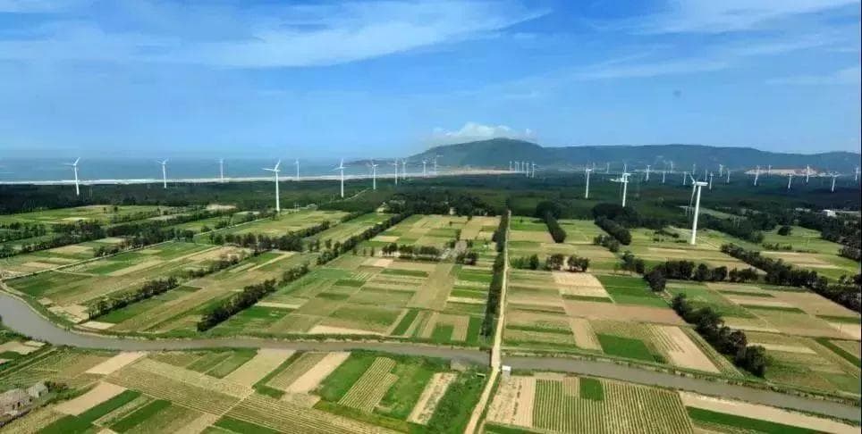 山地森林恢复与保护，为地球生态注入绿色活力