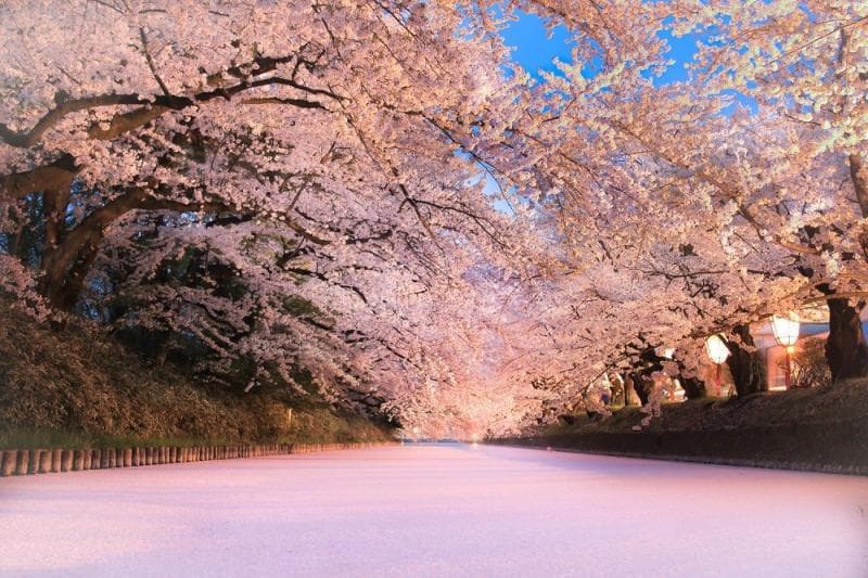 青森县十大必做事项：从樱花到海鲜，领略日本最北端的魅力