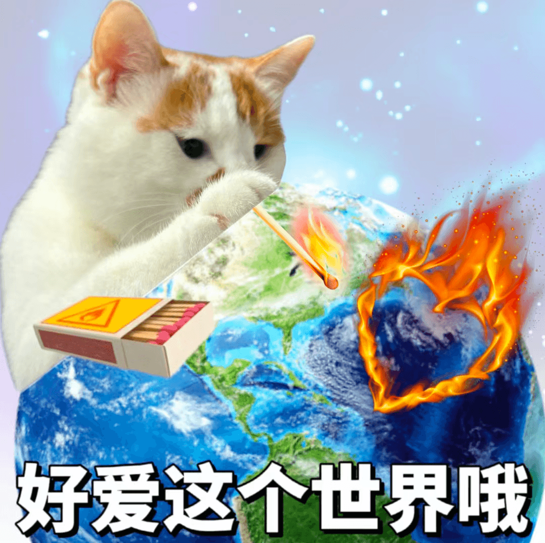 直博还是读完硕士再读博？一位导师的深度分析