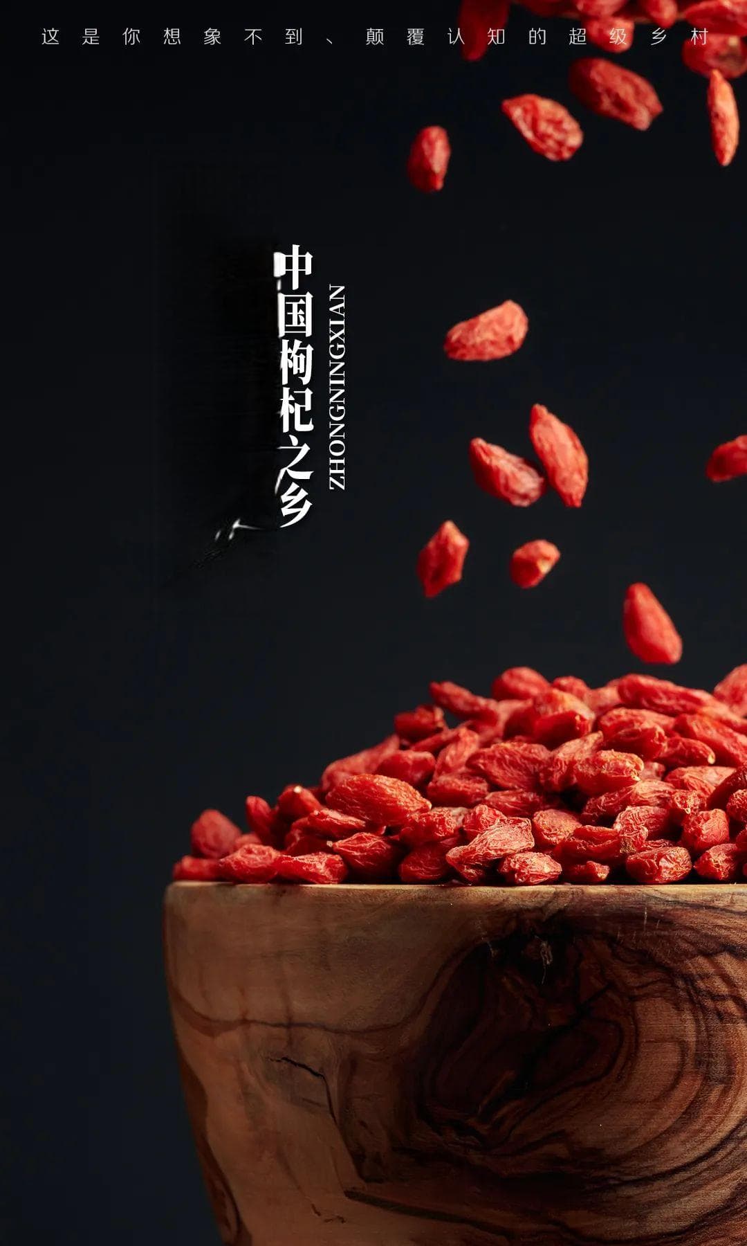 中国枸杞之王，每7粒枸杞就有1粒来自中宁，宁夏也太低调了