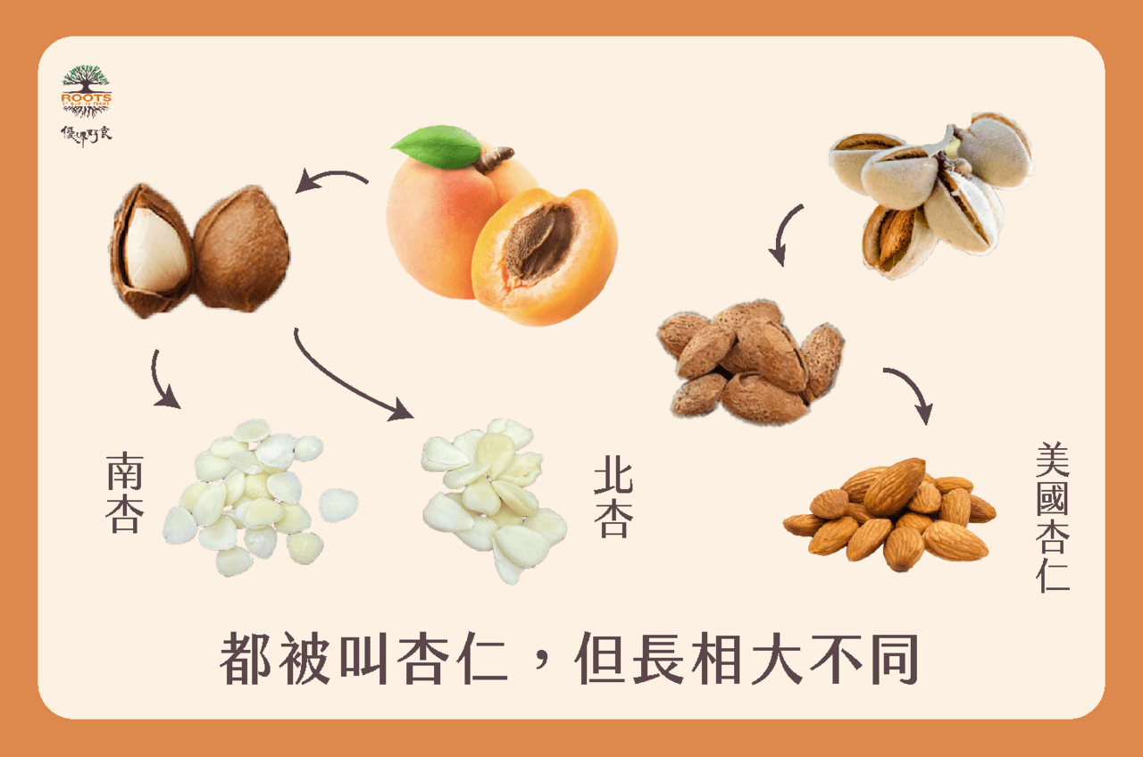 杏仁茶是南杏还是北杏？了解南北杏区别、营养价值与食用方法