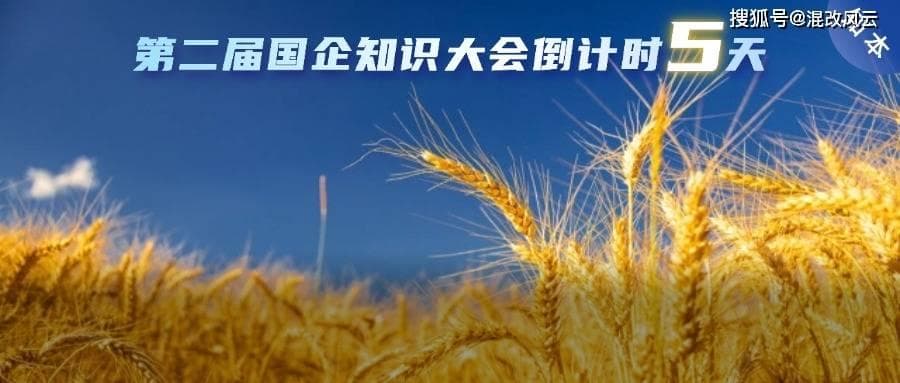 国企员工绩效考核制度如何建？请注意这六大要点