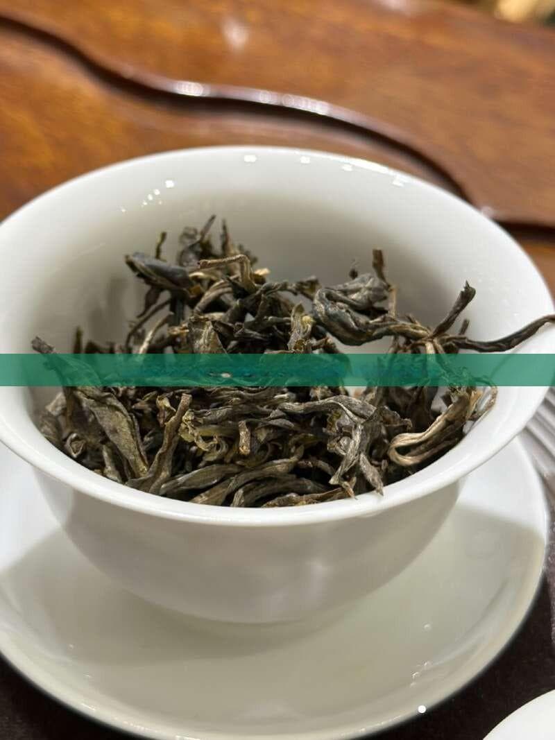 普洱茶真的能降低体内油脂吗？全面解析其功效与科学依据