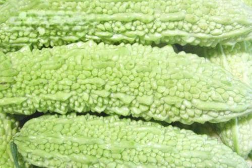 优良的苦瓜品种（包括滑身苦瓜、长身苦瓜、夏丰苦瓜等种类）