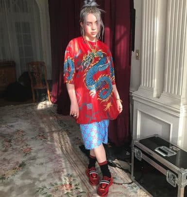 Billie Eilish的家庭背景与成长故事