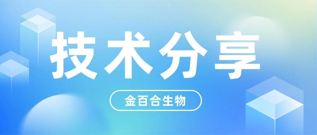 丁酸梭菌培养物对肠道屏障的调节作用