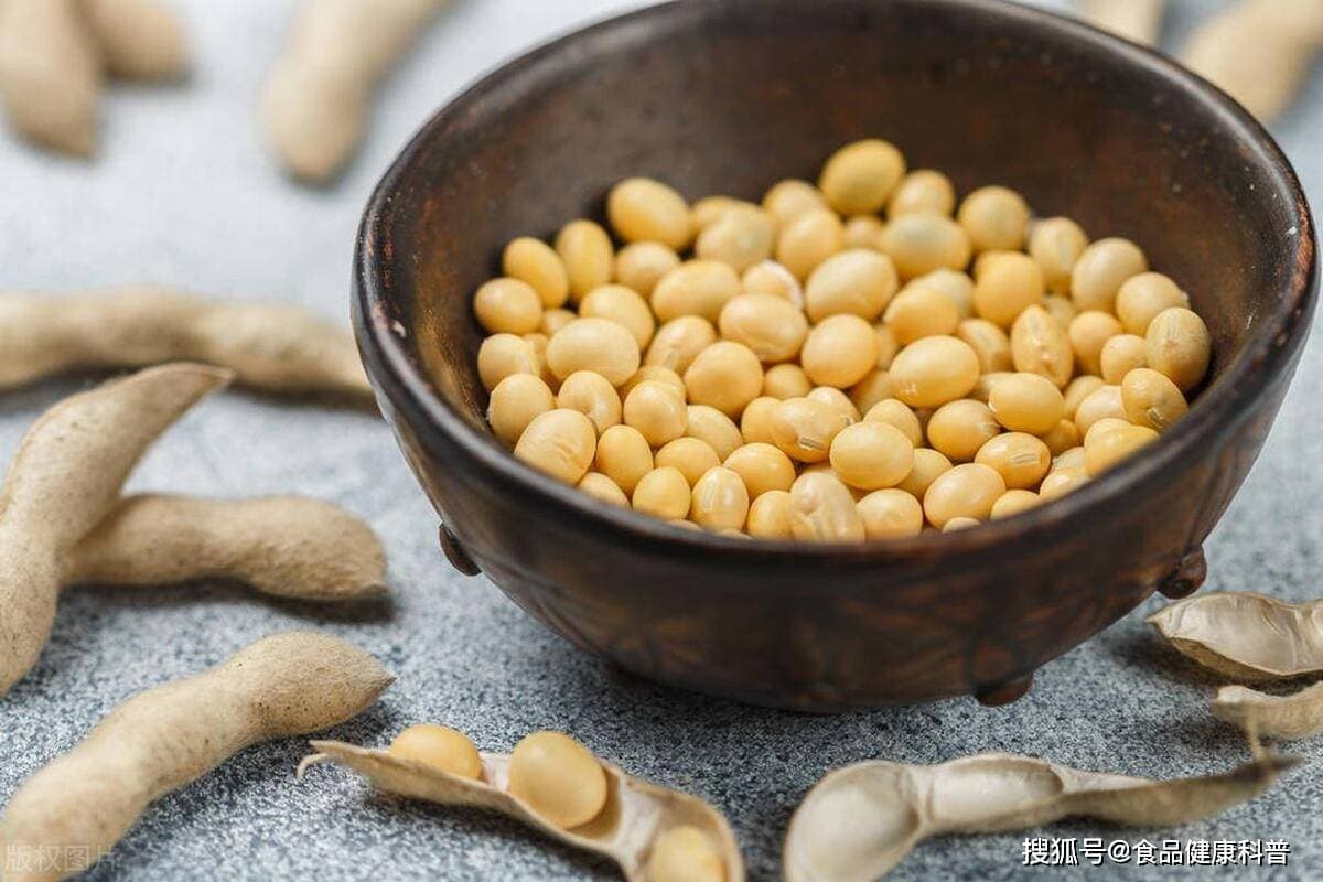 黄豆的营养价值究竟有多高！它为何能成为大众首选？