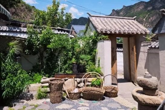 “青年养老院”今年爆火，网友：疗愈之后再出发……