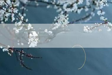 斯诺克入门必修课：22颗球里的技巧与智慧