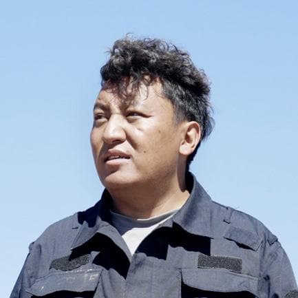 守望高原精灵：科技如何揭秘并保护三江源的藏羚羊