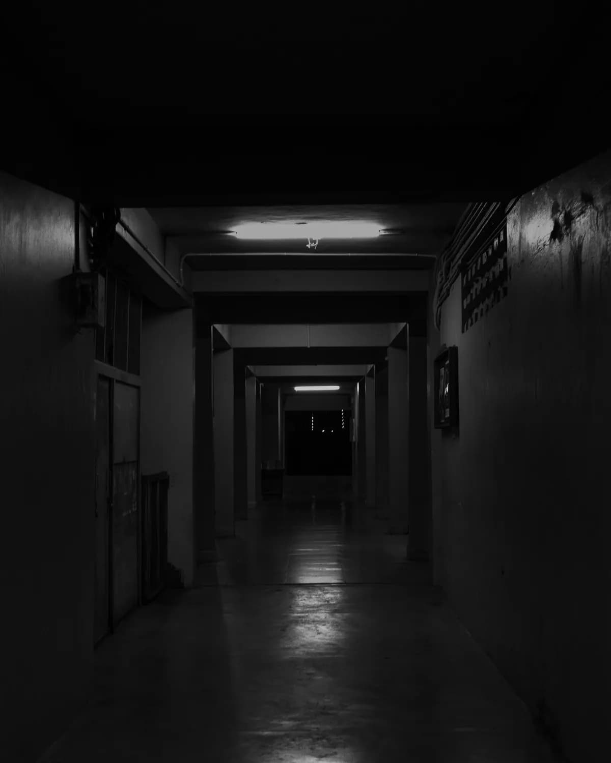 《怨灵宿舍之白纸女生》：一部让你夜不能寐的校园恐怖片