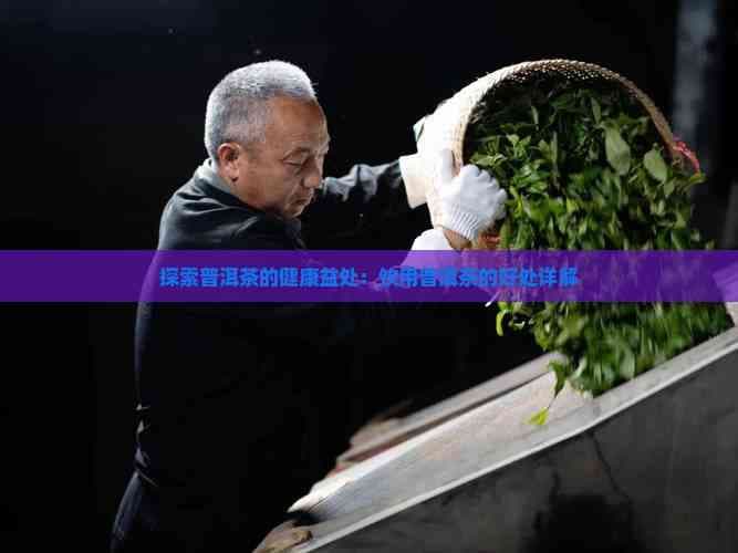 普洱茶知识：健康益处与种类区别全解析