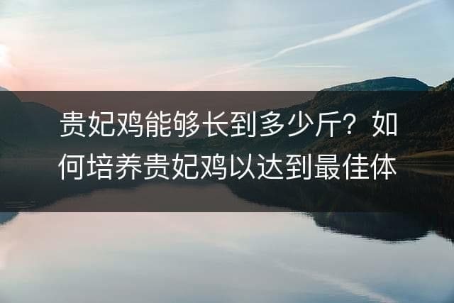 贵妃鸡能够长到多少斤？如何培养贵妃鸡以达到最佳体重？