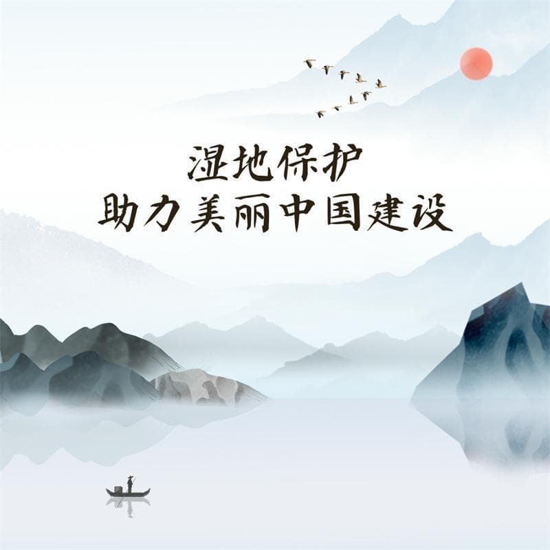 湿地保护助力美丽中国建设