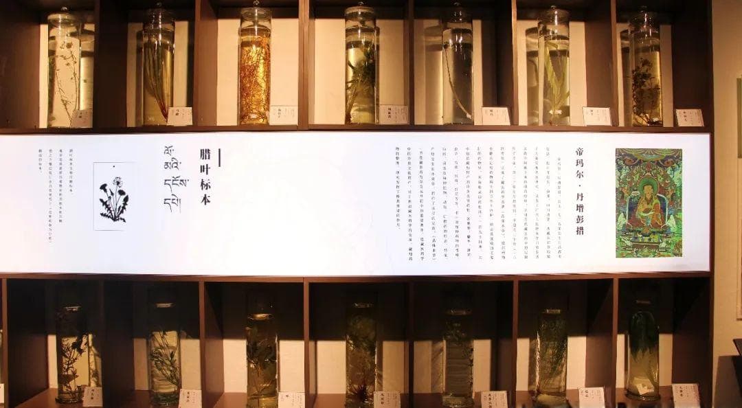 古滇文化：云南青铜文明的璀璨明珠
