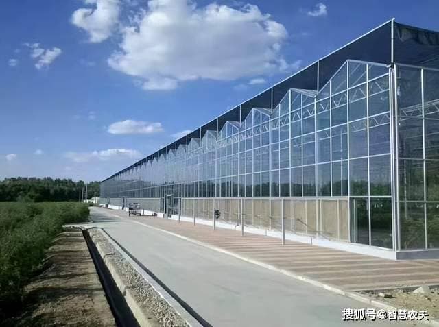 发展现代设施农业，如何提高温室大棚作物产量？