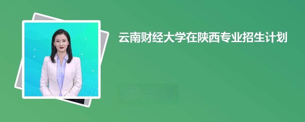云南财经大学在陕西高考专业招生计划2024(人数+代码)