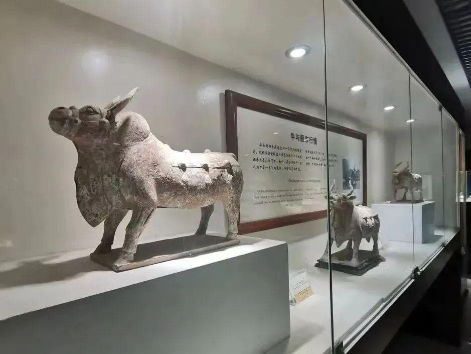 未央区：多措并举 让历史触手可及